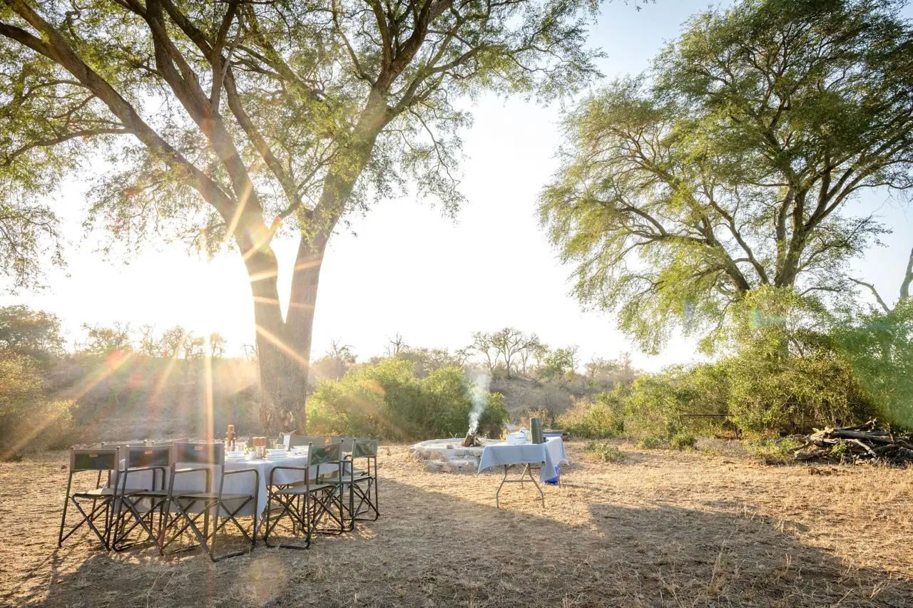 Private bush dining setup under mature trees at Chimani Bush Camp