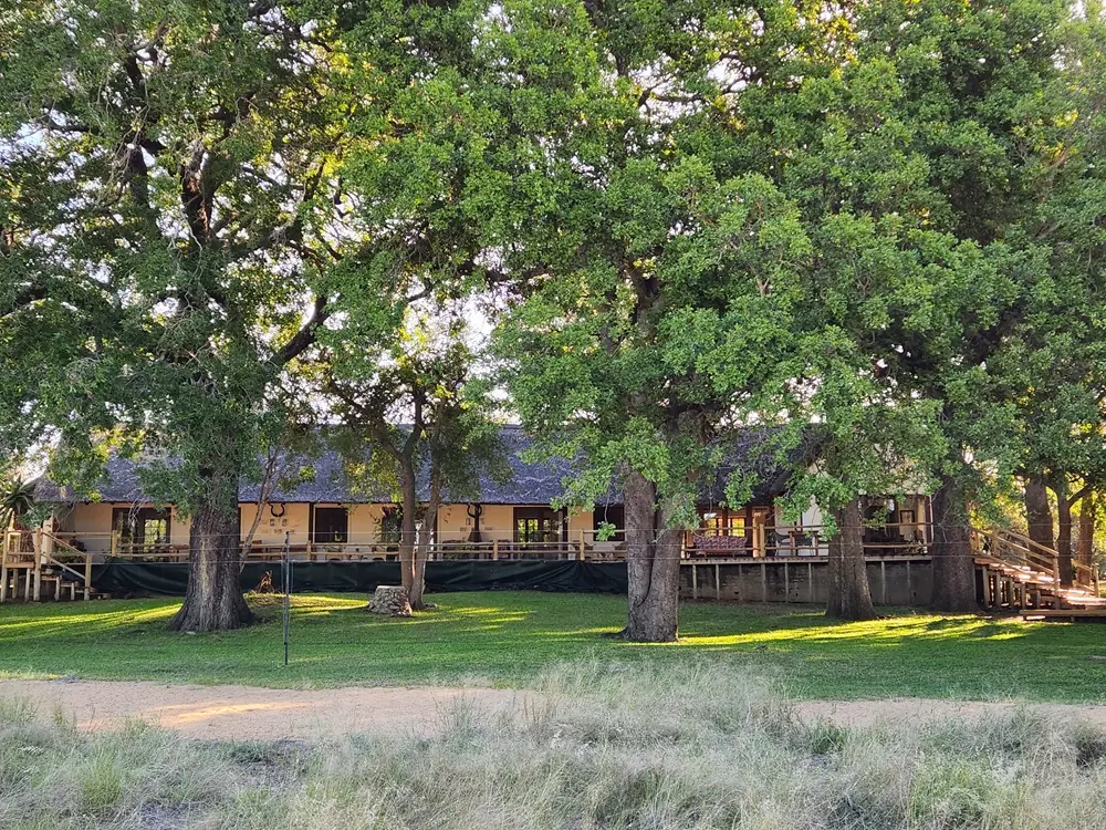 Nyala Camp beneath mature riverine trees