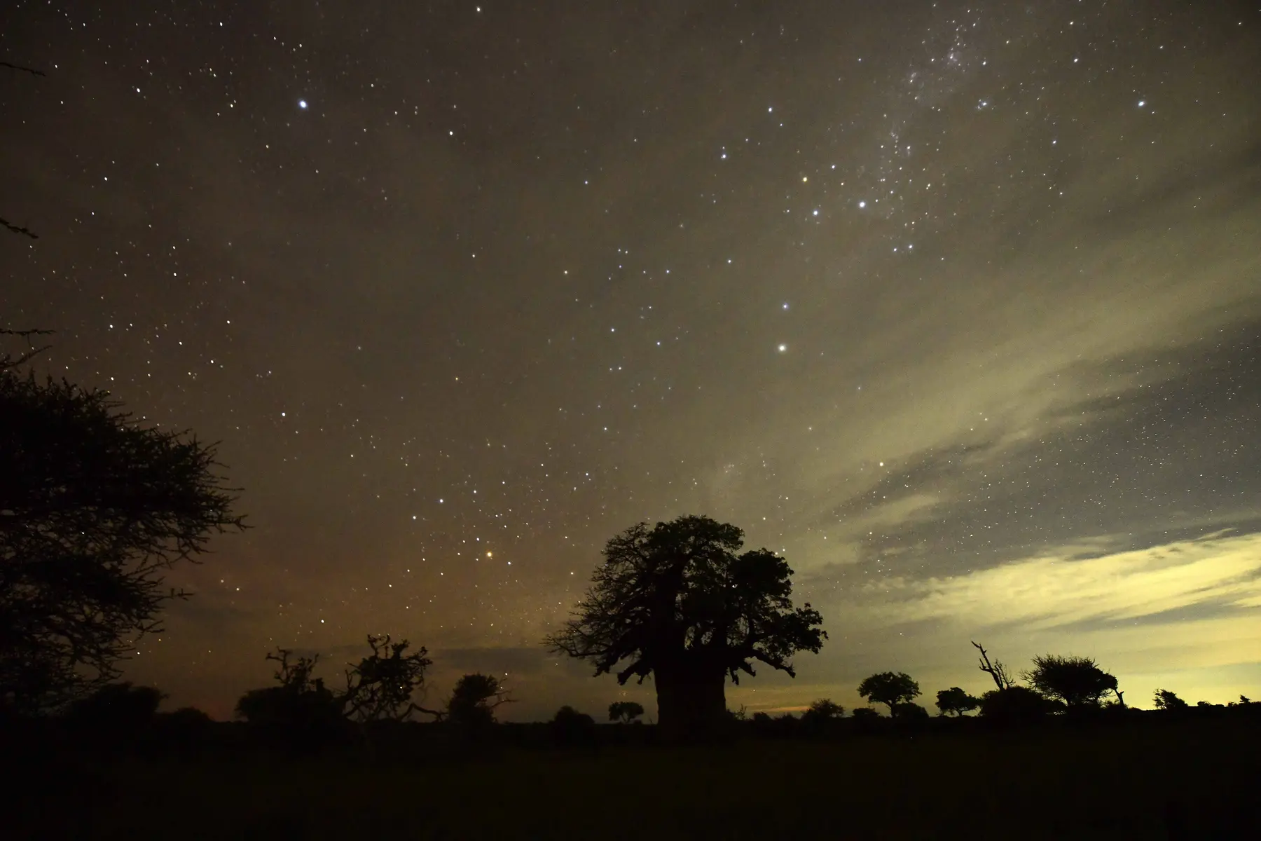 Star-filled night sky over the Nyala Camp area