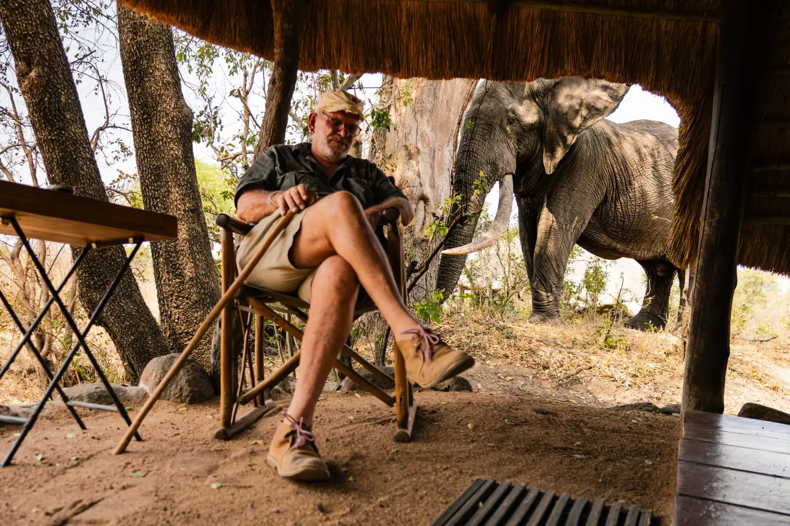 A safari guest seated at an open hide with an elephant close beyond